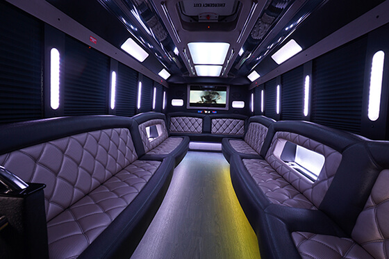 30 passenger party bus rental in Cary